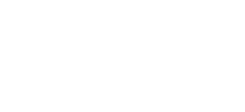 Planet Consulting